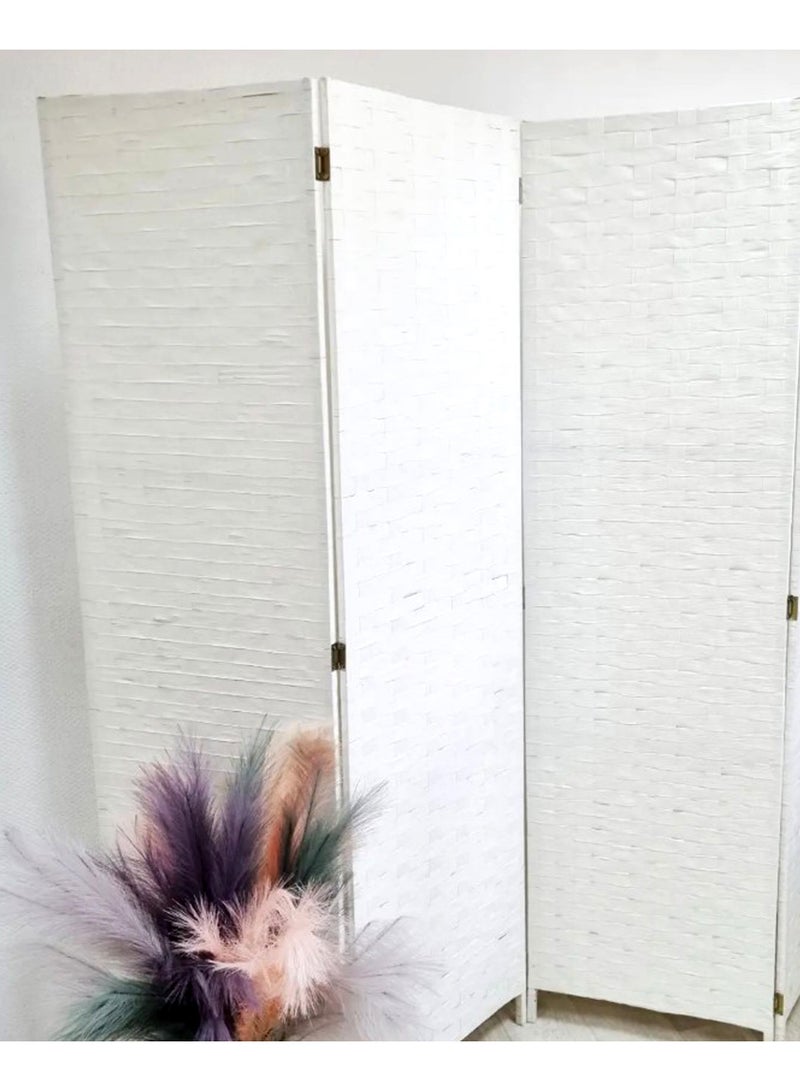 Living Room Divider very useful for cloth changing purpose as well - Image 5