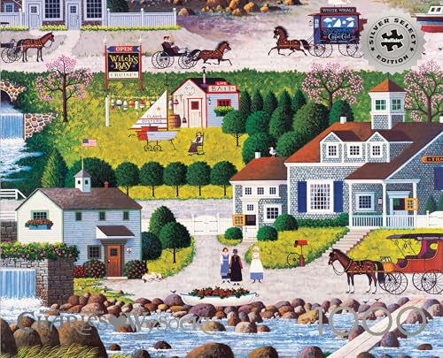 Buffalo Games Charles Wysocki Cricket Hawk Habor Siver Select 1000 Piece Jigsaw Puzzle Colorful Puzzles for Adults PrecisionCut Pieces - Image 5