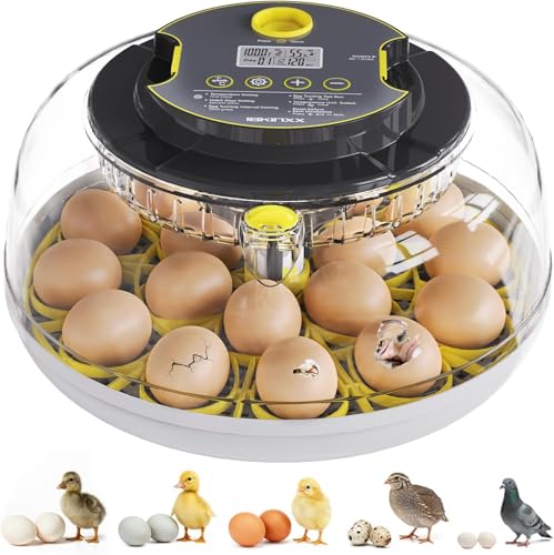 IBKINXX Incubator for Hatching Eggs18 Egg Capacity Automatic Egg Turner Temperature Humidity Control 360 Viewing for Chicken Duck and Quail Eggs - Image 1