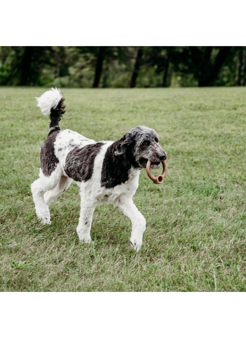 Benebone Ring Dog Toy Bacon - Image 3