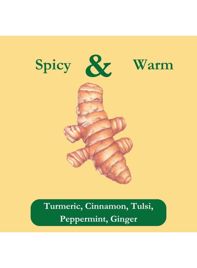 Tadin Organic Turmeric Ginger Herbal Tea. Immune System Booster. Digestive Health Supplement. Caffeine Free. 20 Teabags - Image 2