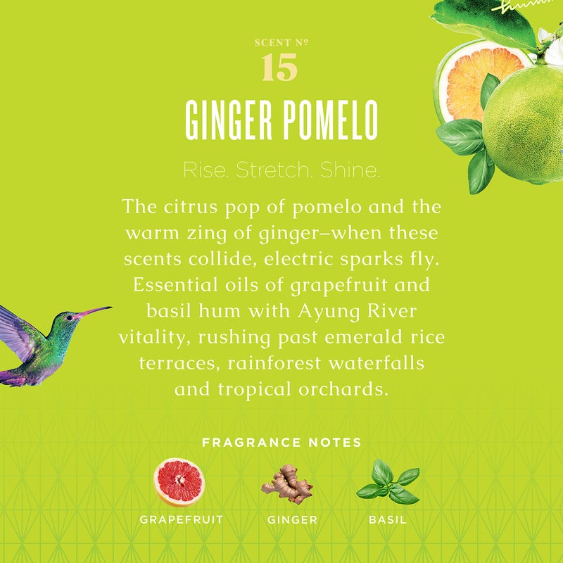 Caldrea Linen and Room Spray Air Freshener, Made with Essential Oils, Plant-Derived and Other Thoughtfully Chosen Ingredients, Ginger Pomelo Scent, 16 oz - Image 3