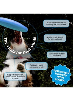 Pet Honesty Pet Honesty Wild Alaskan Salmon Oil, Omega-3 Fish Oil for Dogs and Cats, Fatty Acids, Salmon Oil for Dogs, Skin and Coat Health, Pure Dog Food Topper, Supports Joints, Brain & Heart Health - 16 oz  - Image 2