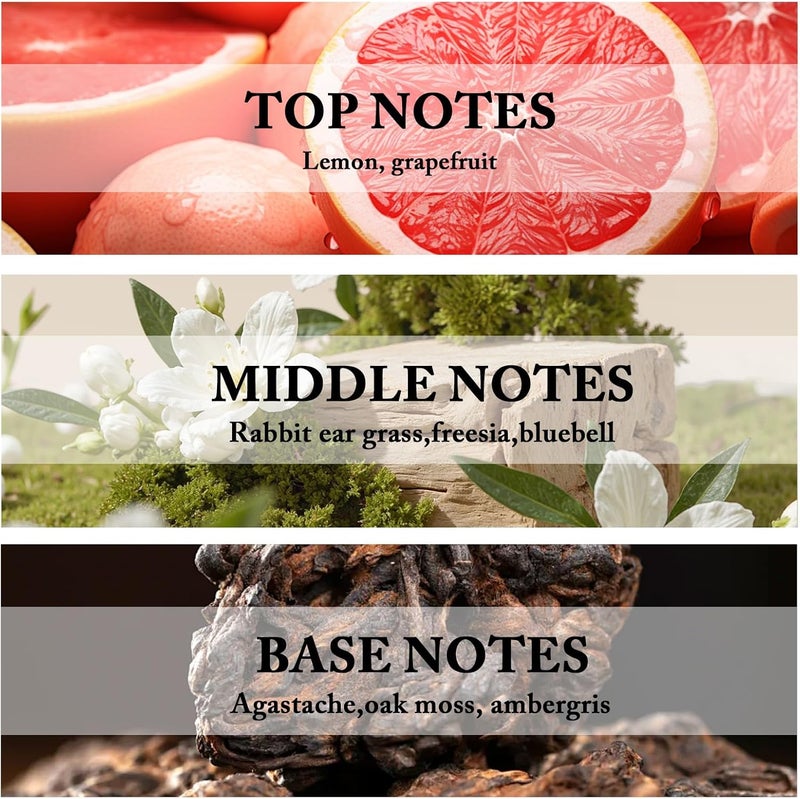 NAMSTE Hotel Scents Essential Oil, 100ml Address Hotel Collection Aroma Oil, Aromatherapy Diffuser Oil, Blends Lavender, Grapefruit, Freesia, Patchouli Costus for Relaxation and Sleep - Image 2