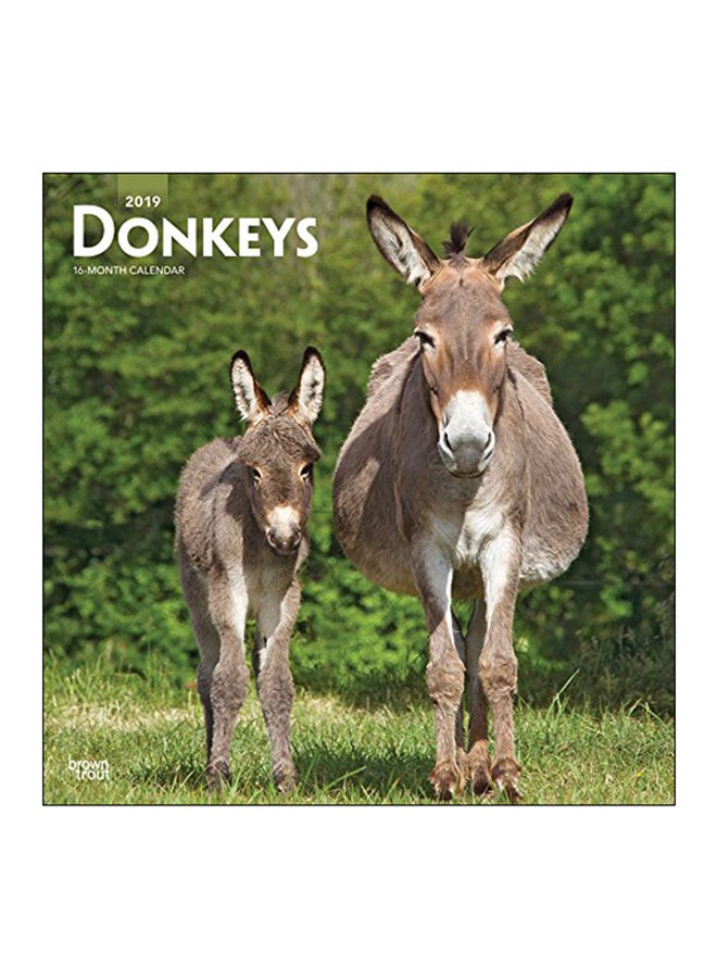 Donkeys 2019 Square Wall Calendar