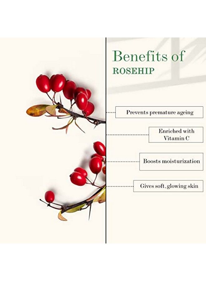 Good Vibes Skincare Combo For Glowing Skin | Papaya Brightening Face Wash 120 Ml Rose Glow Toner 120 Ml Rose Hip Radiant Glow Face Serum 10 Ml | Suitable For All Skin Types | No Parabens & Sulphates - Image 5