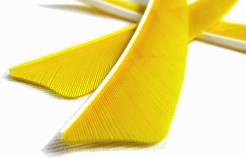 Letszhu Archery Arrows Feather Fletching 4 Inch Real Turkey Vanes for Hunting Target Shooting (25 Pack) - Image 4