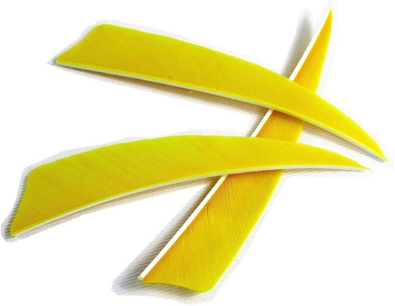 Letszhu Archery Arrows Feather Fletching 4 Inch Real Turkey Vanes for Hunting Target Shooting (25 Pack) - Image 3