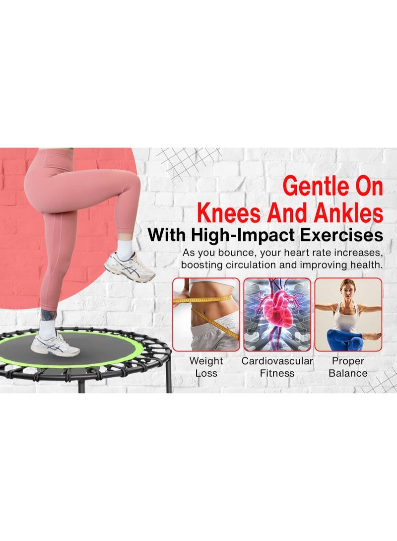 العضلات المرنة ترامبولين لياقة صغير 40 بوصة للبالغين مع حبال بنجي وبار أمان – يتحمّل وزن حتى 150 كجم – مثالي للتمارين في المنزل أو الصالات الداخلية والخارجية - Image 5