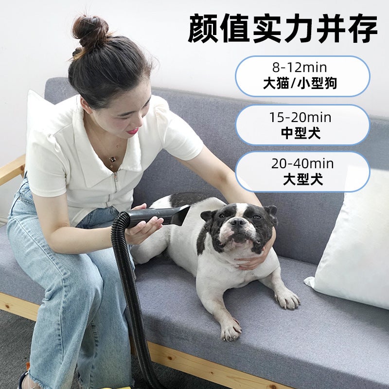 Pet Water Blower High Power Silent Beauty Dog Hair Dryer Large Dog Golden Retriever Hair Dryer Teddy Dog - Image 3