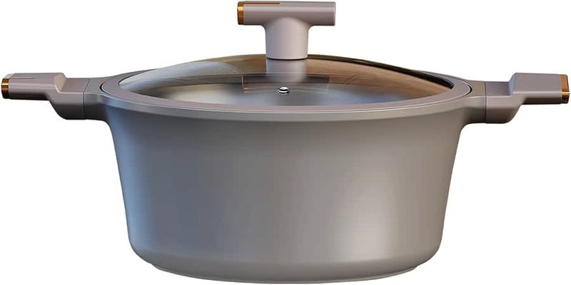 NeoKlein Horizon Cooking Pot with Pyrex Lid, 20 cm Size, Grey