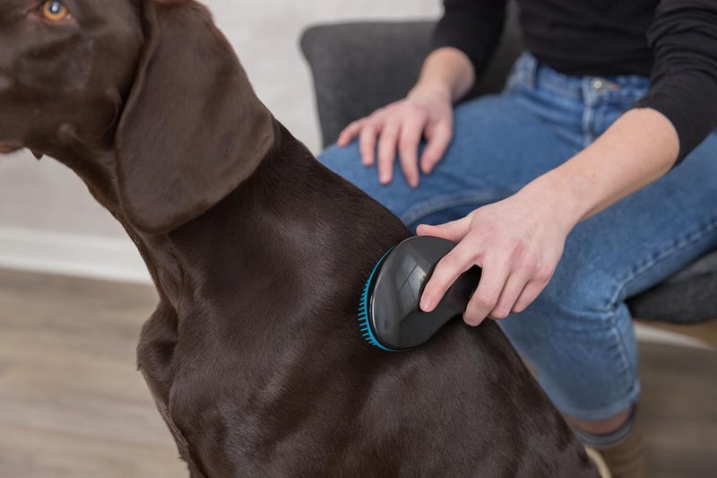 Trixie Soft Plastic Bristle Brush for Dogs & Cats - Image 3