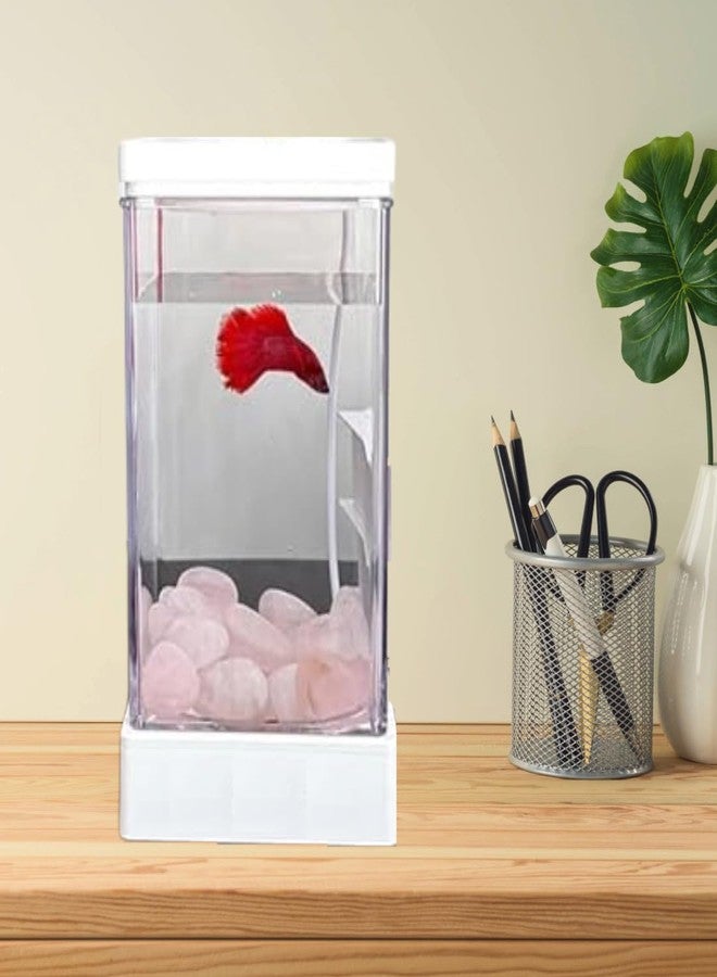 Scroll Store 1L Acrylic Betta Fish Tank | Mini Transparent Desktop Aquarium with Multicolor LED Light (USB Powered) Easy to Clean & Maintain, Portable Small Fish Tank (White) - Image 4