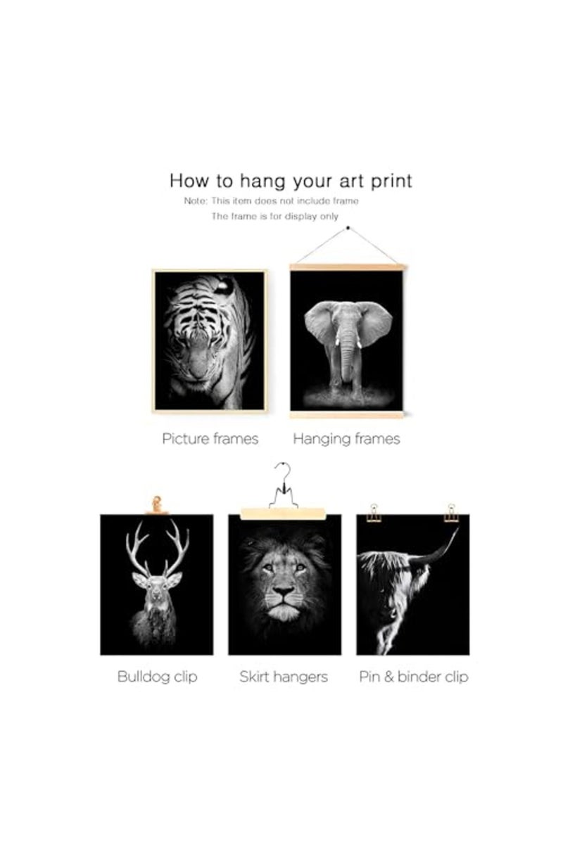 HoozGee Black and White Animals Wall Art Prints Set of 6 Animal Pictures Cow Print Decor Elephant Wall Decor Canvas Animal Wall Art Posters Set for Home Decor (11"x14" UNFRAMED) - Image 3