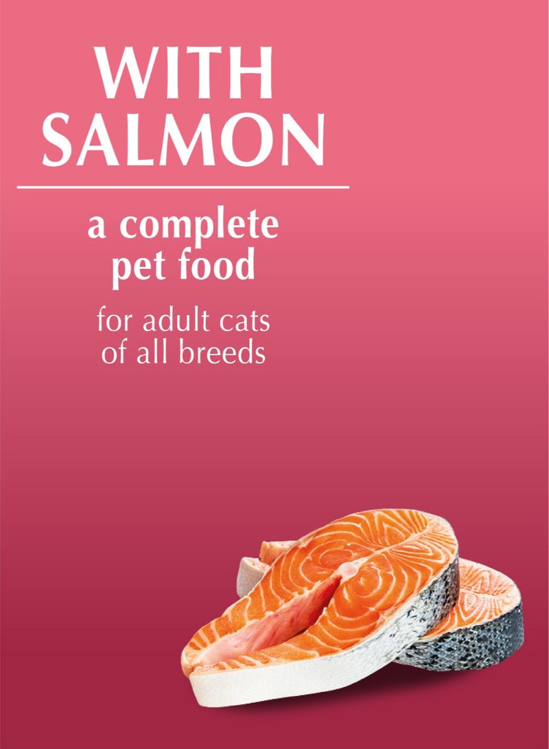 PIPER CAT WITH SALMON 10x100 g - Image 3