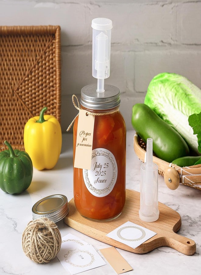 Blushtier مجموعة بلشتيير المكونة من 6 برطمانات تخمير سعة 32 أونصة مع أغطية، تتضمن طقم تخمير سعة 0.95 لتر مع أقفال هوائية، وملصقات، وحبال للتخمير، والتخليل، والتعليب، وصنع المشروب العسلي. - Image 4