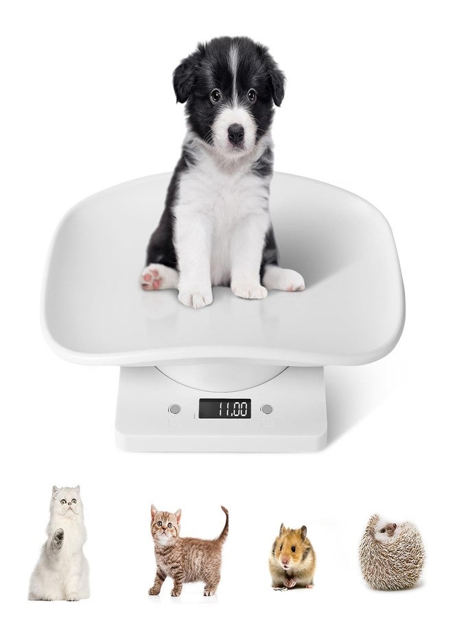 YTDTKJ Digital Pet Scale, Small Animals Scales for Weighing, Puppy Whelping Scale, Digital Kitchen Scale, Puppy and Kitten Scale with Tray, Portable Dog Cat Scale for Hamster Rabbit Hedgehog(Max. 22 lbs) - Image 1