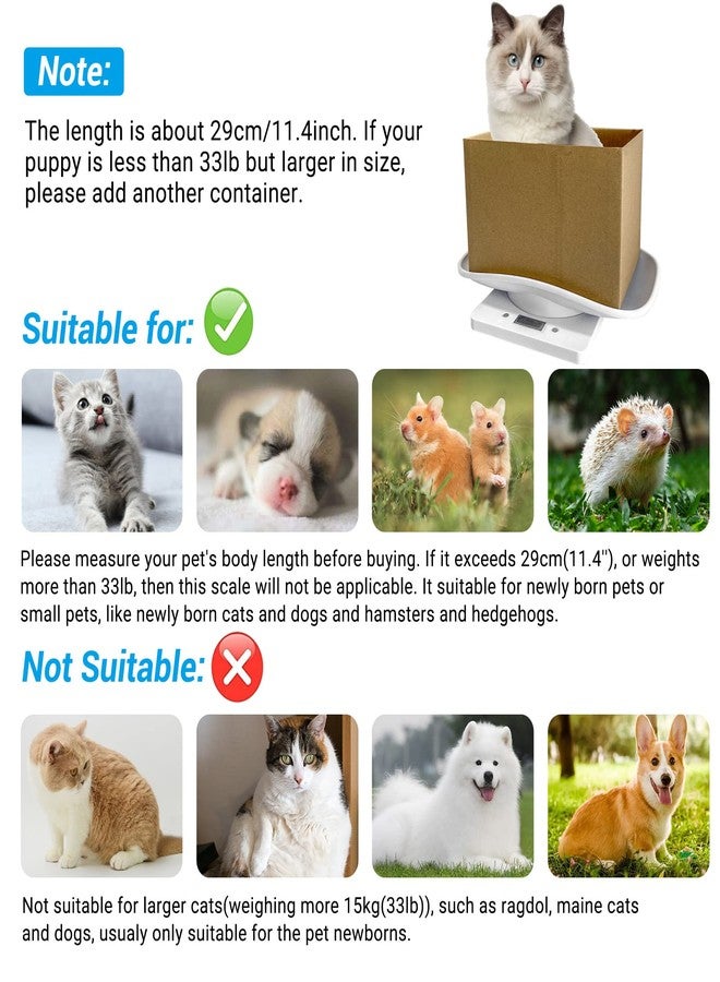 YTDTKJ Digital Pet Scale, Small Animals Scales for Weighing, Puppy Whelping Scale, Digital Kitchen Scale, Puppy and Kitten Scale with Tray, Portable Dog Cat Scale for Hamster Rabbit Hedgehog(Max. 22 lbs) - Image 2