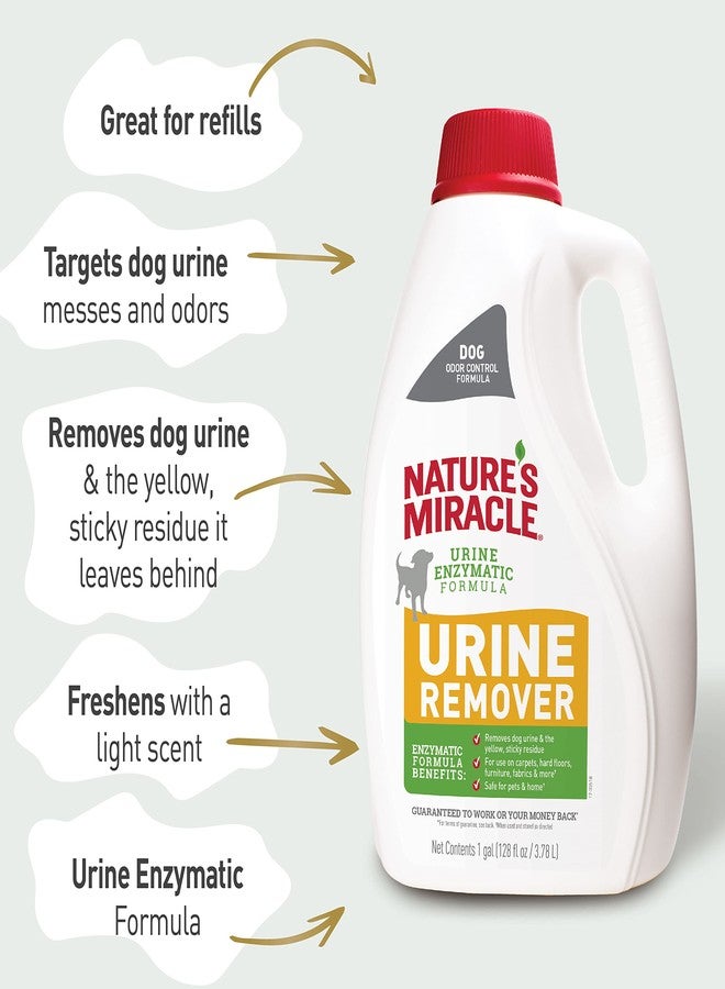 Nature's Miracle Dog Urine Remover, 128 Oz, Enzymatic Formula, Multicolor, 128.00 Fl Oz (Pack of 1) - Image 5