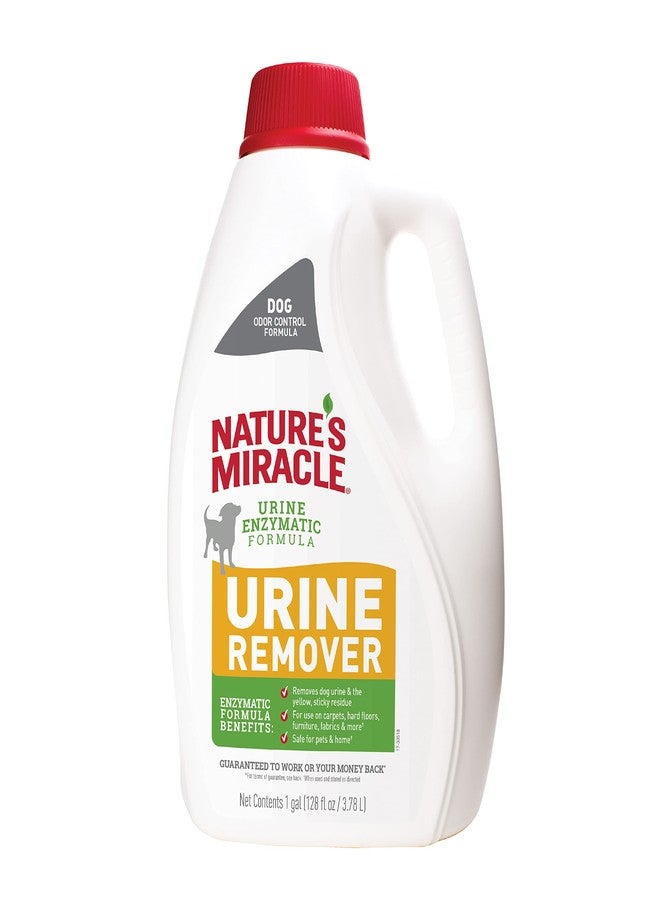 Nature's Miracle Dog Urine Remover, 128 Oz, Enzymatic Formula, Multicolor, 128.00 Fl Oz (Pack of 1) - Image 1