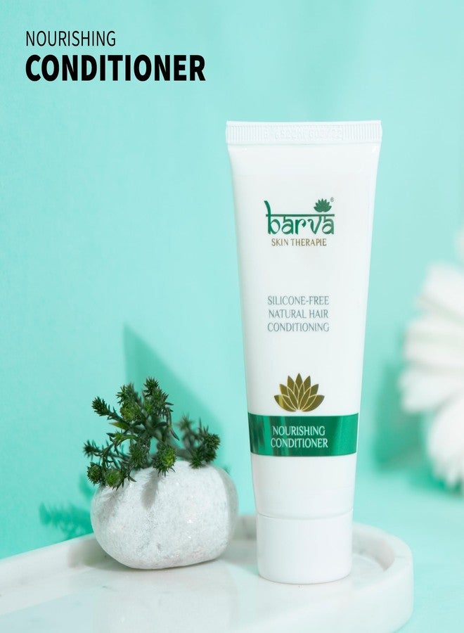 بارفا بلسم بارفا الطبيعي المغذي للشعر الجاف والمجعد والمصبوغ، خالٍ من كبريتات لوريل الصوديوم والبارابين، يحتوي على خلاصة الصبار والكركديه، 50 مل - Image 2