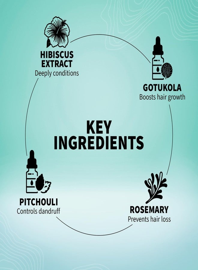 بارفا بلسم بارفا الطبيعي المغذي للشعر الجاف والمجعد والمصبوغ، خالٍ من كبريتات لوريل الصوديوم والبارابين، يحتوي على خلاصة الصبار والكركديه، 50 مل - Image 5