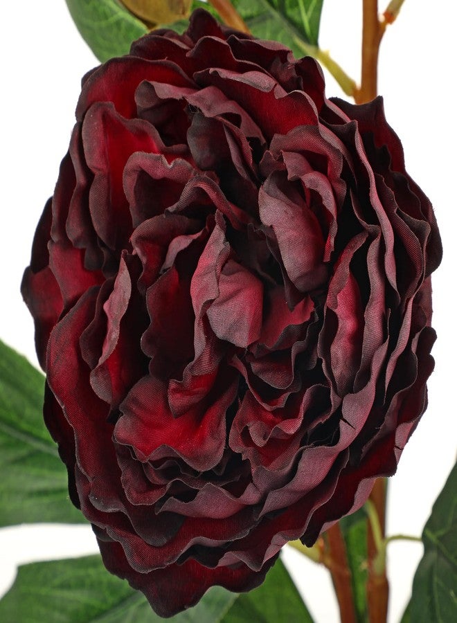 Briful 3 Pack Artificial Peony Flower 27.5" Tall Burgundy Silk Peonies Floral Stems Real Touch Faux Peony Flower for Wedding Bouquets Home Floral Arrangements Table Centerpieces DIY Décor - Image 3