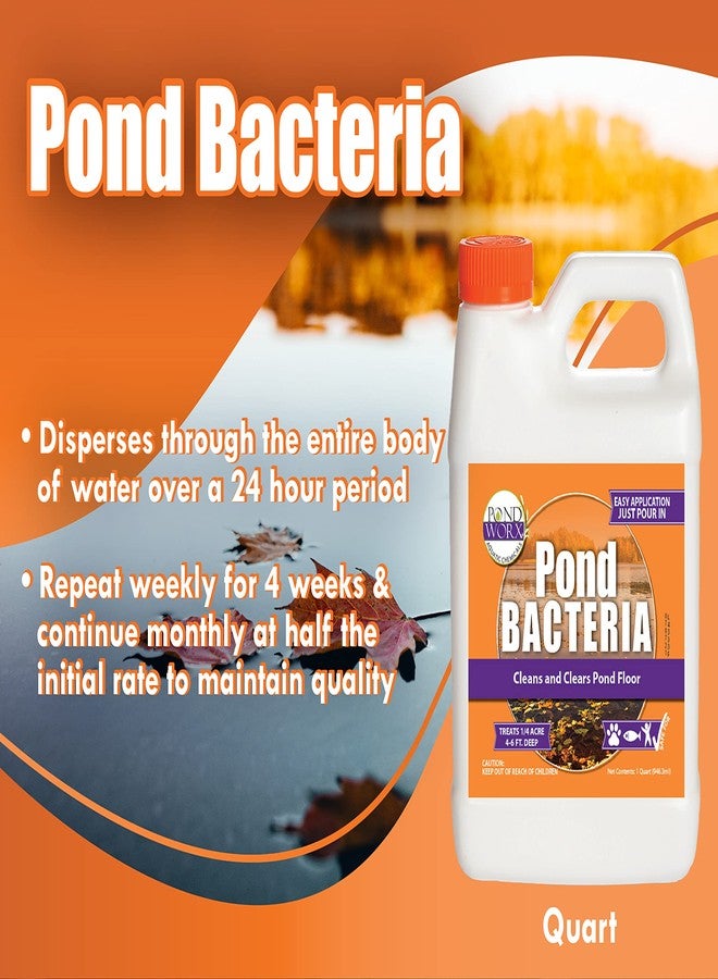 Pond Worx Pond Bacteria - Concentrated & Formulated for Large Ponds, Water Features - Safe for Koi - 32 Ounces & Treats up to a Quarter Acre Pond - Image 2