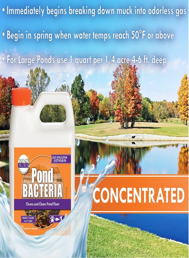 Pond Worx Pond Bacteria - Concentrated & Formulated for Large Ponds, Water Features - Safe for Koi - 32 Ounces & Treats up to a Quarter Acre Pond - Image 3