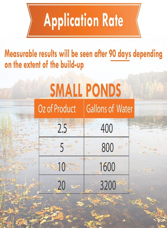 Pond Worx Pond Bacteria - Concentrated & Formulated for Large Ponds, Water Features - Safe for Koi - 32 Ounces & Treats up to a Quarter Acre Pond - Image 5