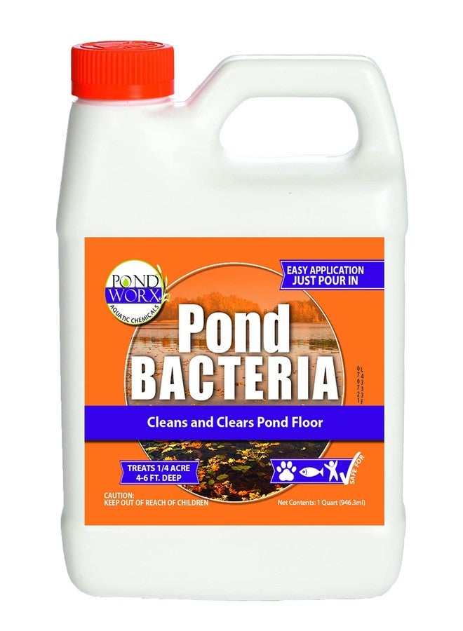 Pond Worx Pond Bacteria - Concentrated & Formulated for Large Ponds, Water Features - Safe for Koi - 32 Ounces & Treats up to a Quarter Acre Pond - Image 1