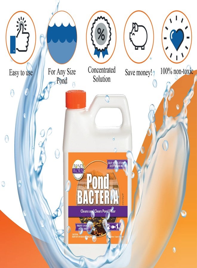 Pond Worx Pond Bacteria - Concentrated & Formulated for Large Ponds, Water Features - Safe for Koi - 32 Ounces & Treats up to a Quarter Acre Pond - Image 4