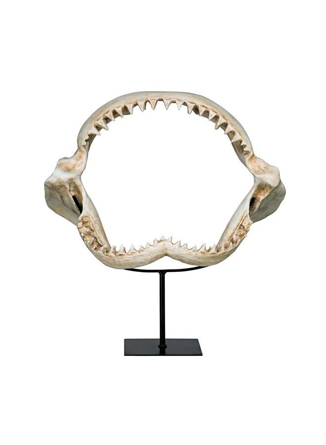 Design Toscano SD1130959 Shark Jaws Jagged Teeth Statue on Display Stand, 16 Inch, Bone - Image 2