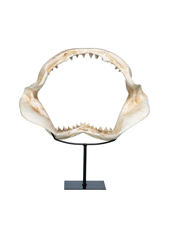 Design Toscano SD1130959 Shark Jaws Jagged Teeth Statue on Display Stand, 16 Inch, Bone - Image 5