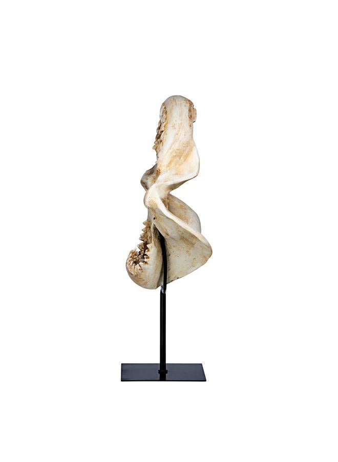 Design Toscano SD1130959 Shark Jaws Jagged Teeth Statue on Display Stand, 16 Inch, Bone - Image 4