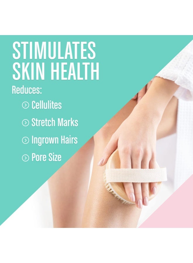 فرشاة الجسم الجافة (عبوة واحدة) - تقلل السيلوليت، فرشاة جافة للسيلوليت وتصريف اللمف، فرشاة تقشير مع نتوءات تدليك ناعمة، فرشاة استحمام لتقشير الجسم (فرشاة بشعيرات طبيعية 100%) - Image 3