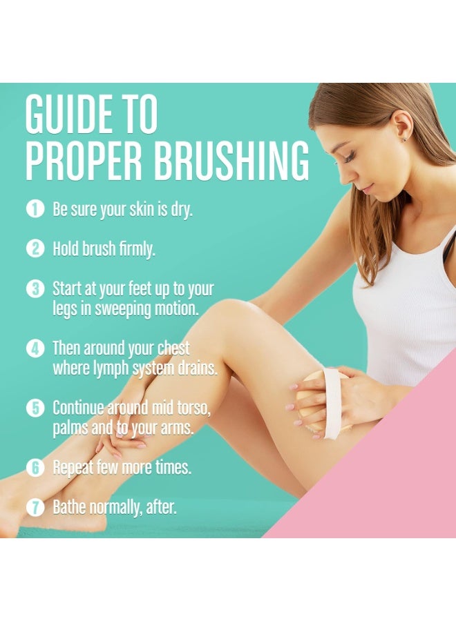 فرشاة الجسم الجافة (عبوة واحدة) - تقلل السيلوليت، فرشاة جافة للسيلوليت وتصريف اللمف، فرشاة تقشير مع نتوءات تدليك ناعمة، فرشاة استحمام لتقشير الجسم (فرشاة بشعيرات طبيعية 100%) - Image 5