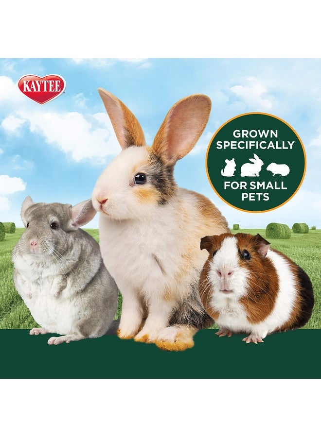 Kaytee Timothy Hay Plus Spearmint/Marigold/Carrot 3 Flavor Variety Pack for Pet Guinea Pigs, Rabbits & Other Small Animals, 60 Ounce (Pack of 1) - Image 4