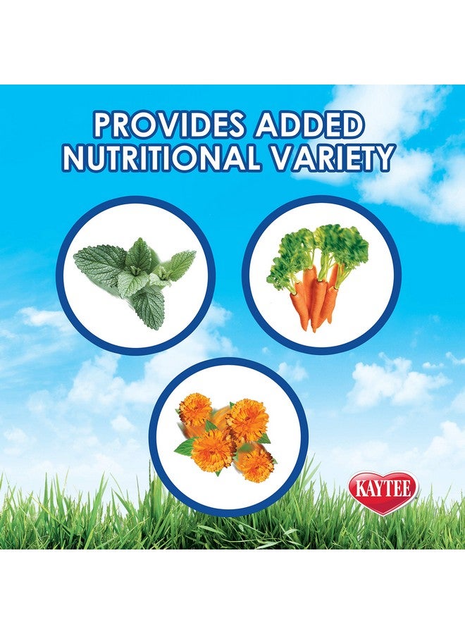 Kaytee Timothy Hay Plus Spearmint/Marigold/Carrot 3 Flavor Variety Pack for Pet Guinea Pigs, Rabbits & Other Small Animals, 60 Ounce (Pack of 1) - Image 2