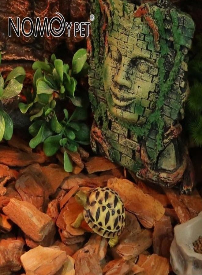 NomoyPet رقائق لحاء عضوية قابلة للتمدد، تُستخدم كركيزة للزواحف والثعابين والسلاحف والبرمائيات، قشور طبيعية خالية من الألياف، تربية نظيفة - 650 غرام - Image 2