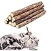 WoLover 20 PCS Cat Catnip Sticks Natural Matatabi Silvervine Sticks Cleaning Teeth Molar Tools Kitten Chew Toy Natural Catnip Cats Toy - Image 3