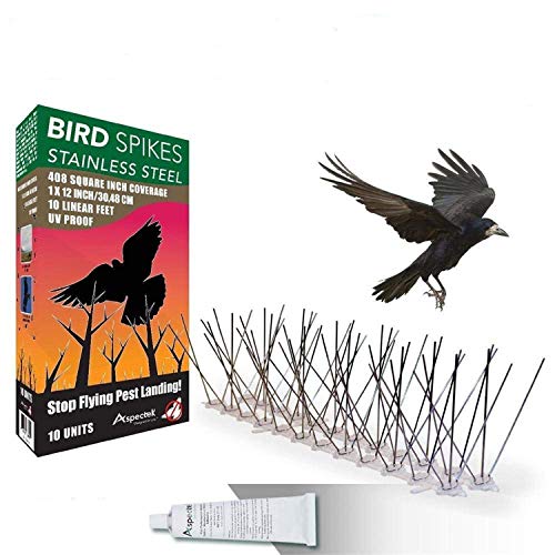 Aspectek Stainless Steel Pre-Assembled Bird Spikes 10 Feet (3 Meters), Bird Deterrent Kit with Transparent Silicone Glue - Image 1