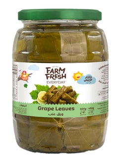 Farm Fresh Grape Leaves 920g  - Image 1
