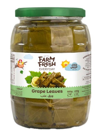 Grape Leaves 920g - pzsku/Z3E560E38E09768202E01Z/45/1746423948/b44eb510-43f3-4a90-b26e-3a1ddab3296d