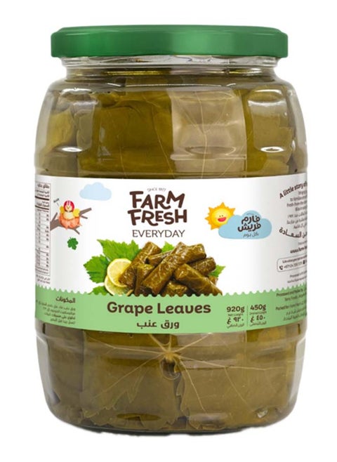 Grape Leaves 920g