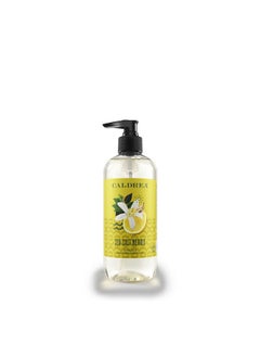 Aldrea Hand Wash Soap Aloe Vera Gel Olive Oil And Essential Oils To Cleanse And Condition Sea Salt Neroli Scent 10.8 Oz - pzsku/Z3E5623F07B120F0B5A5CZ/45/_/1696065913/1abdd908-ad5a-4708-ad5b-2fa1bf51f05c