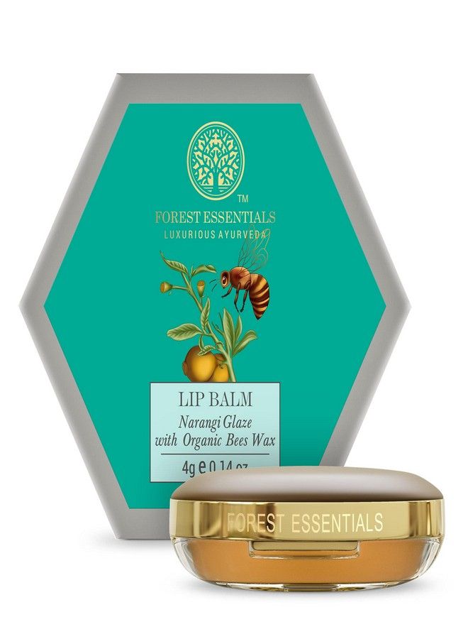 Forest Essentials بالم شفاه لذيذ من فورست إسينشالز بنكهة نارنجى جليز|مع زبدة مريحة|مرطب شفاه للرجال والنساء|4 جرام - Image 1