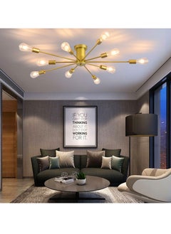 GEADI 10 head Nordic Modern Iron Chandelier Creative Personality Ceiling light for Living Room Dining Room Bedroom  - Image 2