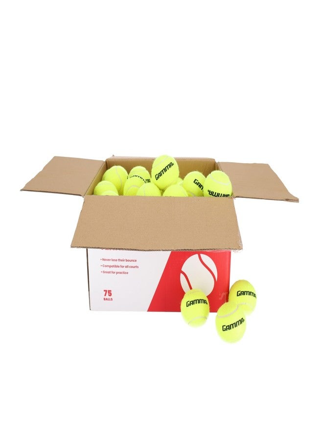 GAMMA Sports Pressureless Tennis Balls Box, Bulk Tennis Balls, Premium Tennis Accessories, 75 Balls, Tennis Practice, Tennis Training, Pet Toys, Dog Ball, Coach, Indoor & Outdoor Play - Image 4