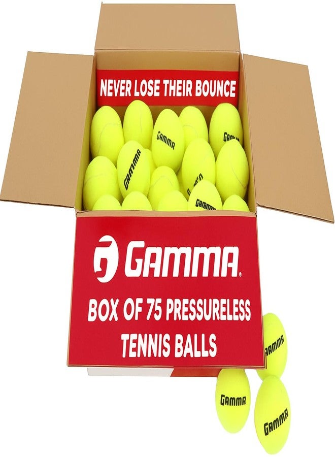 GAMMA Sports Pressureless Tennis Balls Box, Bulk Tennis Balls, Premium Tennis Accessories, 75 Balls, Tennis Practice, Tennis Training, Pet Toys, Dog Ball, Coach, Indoor & Outdoor Play - Image 1